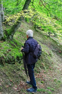 Kellerwald-Edersee National Park in late summer