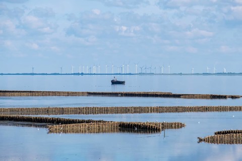Mudflat landscape at low tide with lahnungen