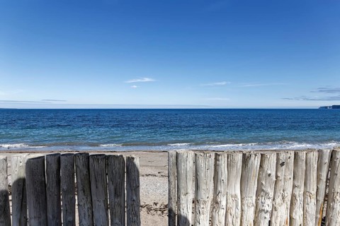 Palisades on a beach