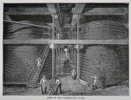 Fermenting flasks and workers in a whiskey distillery. Wood engraving