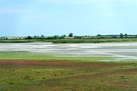 White salt crust on the Lange Lacke salt lake