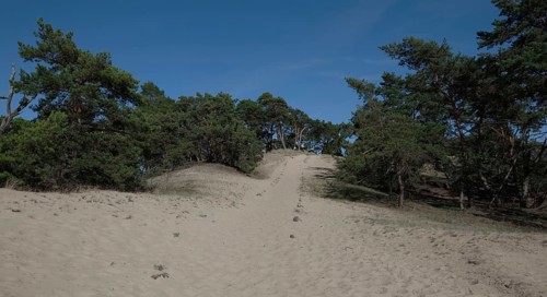 Hiking trail on the inland dune near Klein Schmoelen