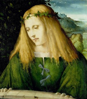 (Narcissus), in Greek mythology is a beautiful youth who rejected the love of others and fell in