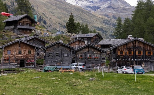 Alpine pasture
