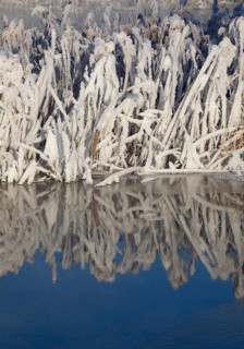 Winter landscape