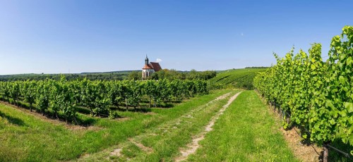 Pilgrimage church Maria im Weingarten
