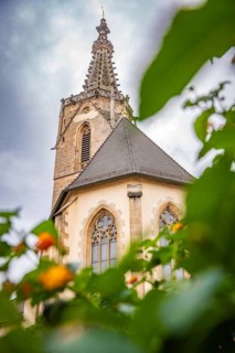 Historic church framed by greenery