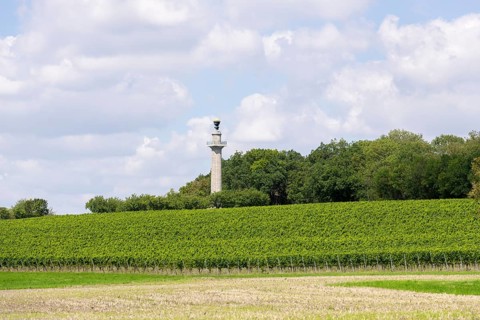Constitution Column