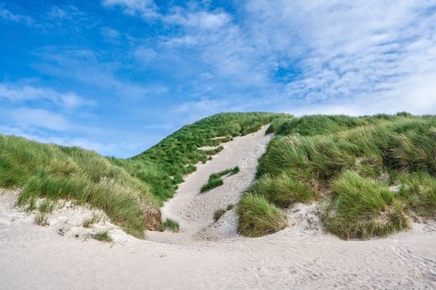 Dunes with dune grass on the sandy beach of Balnakeil Beach in the Northern Highlands