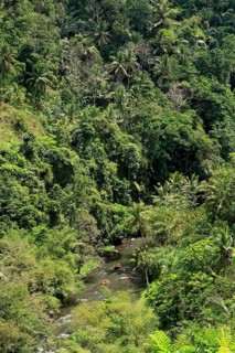 Tropical forest and white water rafting