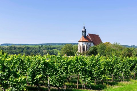 Pilgrimage church Maria im Weingarten