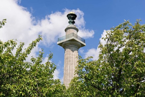 Constitutional column