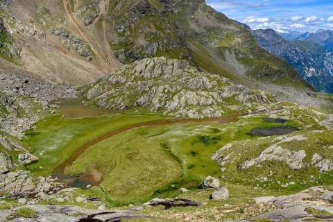Almost silted up lake with lots of cottongrass