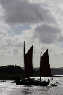 Parade of old sailboats in the Rade de Brest