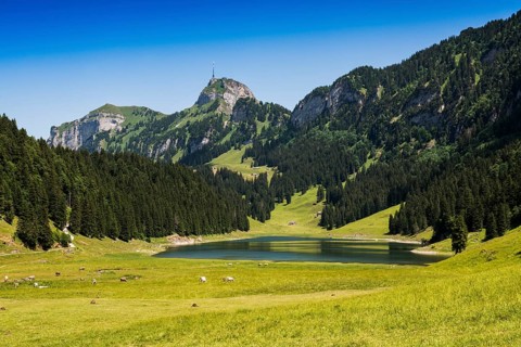 Mountain landscape and lake