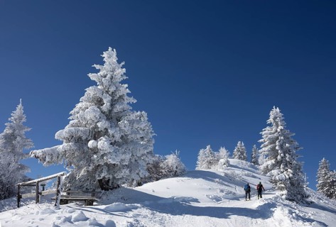 Deep snowy winter landscape on the Zwoelferhorn with ski tourers