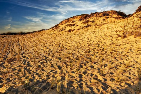 Dunes