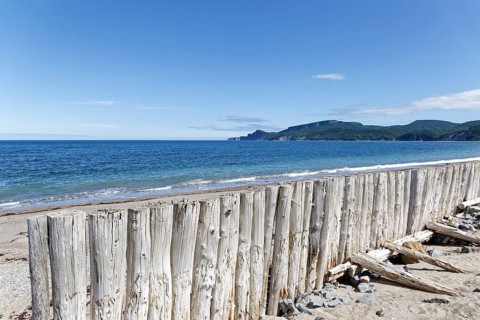 Palisades on a beach