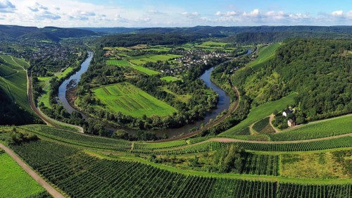 Wiltinger Saarbogen. The river winds through the valley and is surrounded by vineyards and green forests. Kanzem