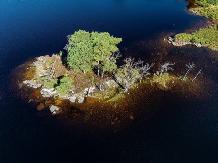 Aerial view of the freshwater loch Loch Assynt with a small island of trees