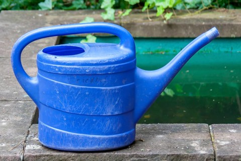Blue watering can