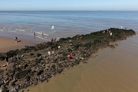 People collecting shells on a stone groyne in the sea