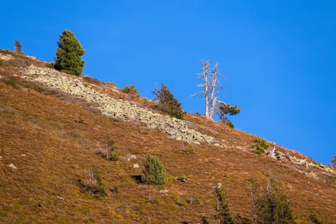 Mountain landscape with boulder heaps