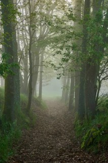 Hiking trail