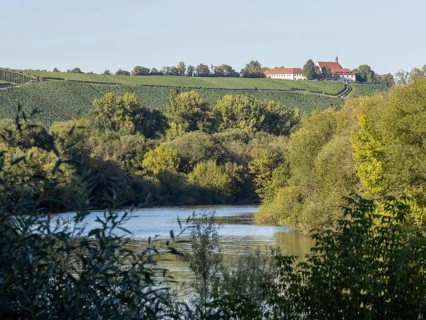 Volkach Main Loop