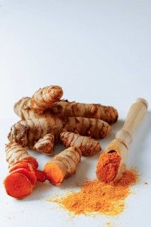 Fresh turmeric root and ground turmeric on a wooden spoon isolated on white background and copy space