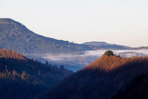 Early November fog near Oppenau