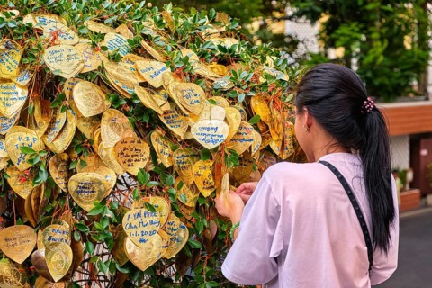 Buddhist golden leaves with wishes and blessings on Bodhi tree in selective focus foreground