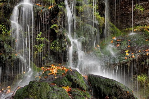 Mountain stream and waterfall in autumn forest