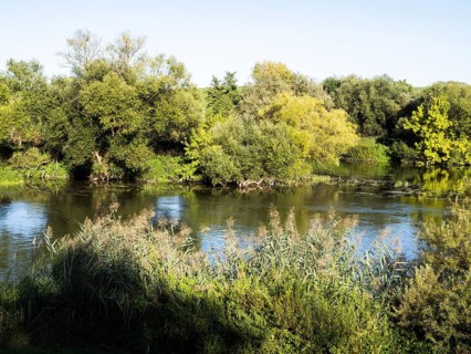 River Main