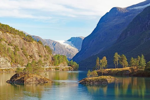 Individual trees reflected in the still waters of a turquoise-green lake