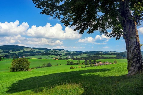 The Weitnau Valley near Waltrams