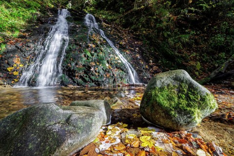 Mountain stream and waterfall in autumn forest