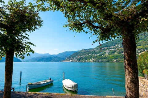 Lake and Mountain View with Tree Branch and Boat over Morcote in a Sunny Summer Day on Lake Lugano in Morcote