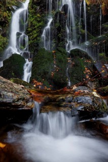 Mountain stream and waterfall in autumn forest