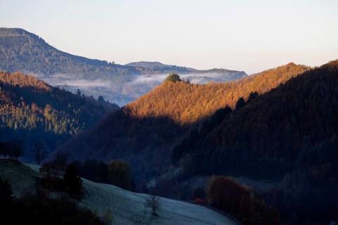Early November fog near Oppenau