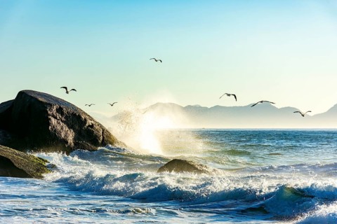 Seagulls over the sea waves at Devil Beach between Copacabana and Ipanema in Rio de Janeiro during sunrise