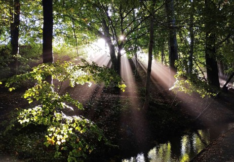 Wonderful incidence of light