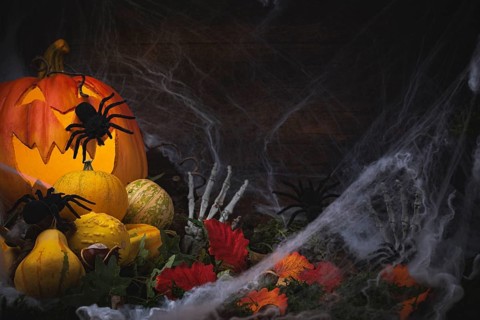 Halloween background with pumpkins