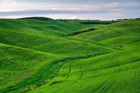 Hilly fields near San Quirico d'Orcia