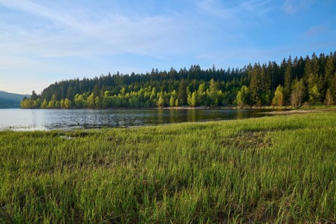Lake