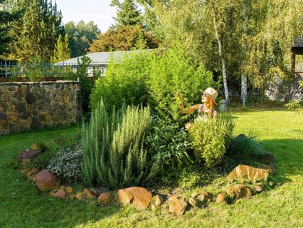 Woman in herb bed