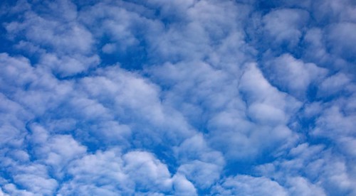 Cloudscape of altocumulus clouds