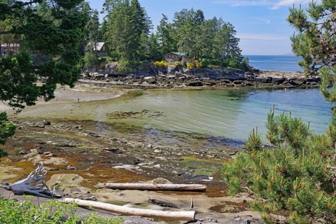 Beach and idyllic bay with transparent clear water