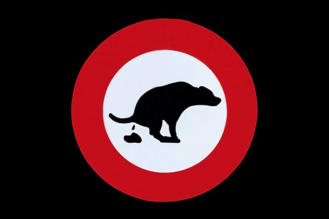 Dog Dung Latrine Warning Sign on Black Background in Switzerland