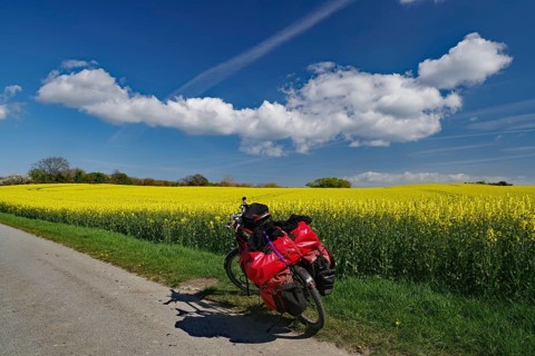 Packed bicycle standing on a narrow road in front of flowering rape fields